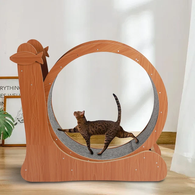 CAT EXERCISE WHEEL Cat Treadmill Kitty Running Training Toy Weight Loss