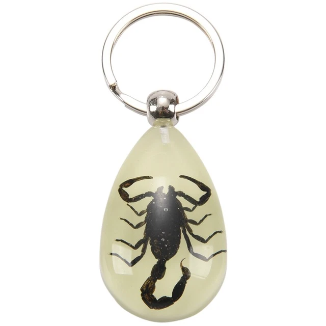 Glow-In-The-Dark Real Insect Keychain (Black ) O7O4h