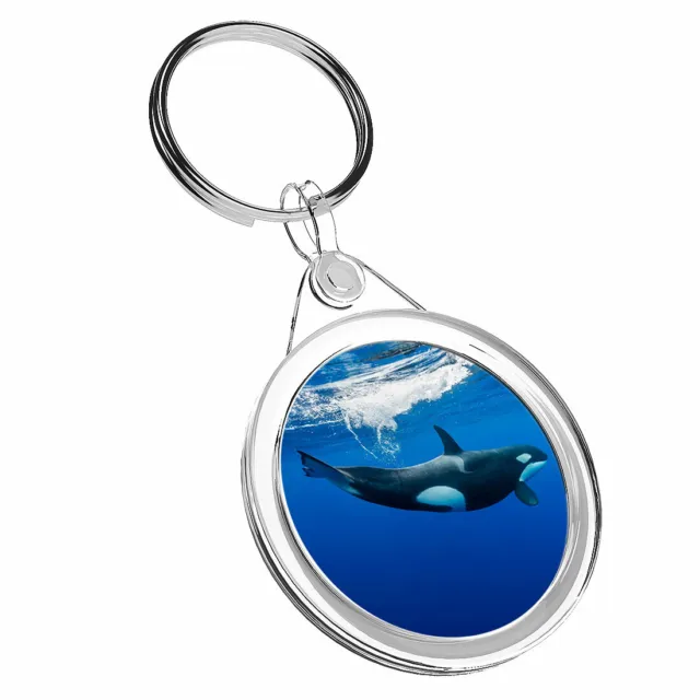 1 x Orca Killer Whale Underwater - Keyring IR02 Mum Dad Kids Birthday Gift #2006
