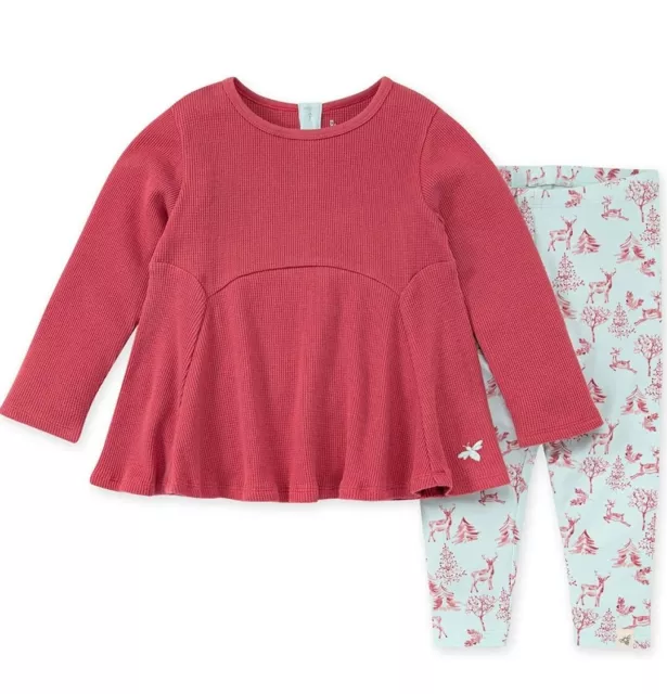 Burt's Bees Baby Girls' Top and Pant Set, Tunic and Leggings Bundle Size 3/6 mon