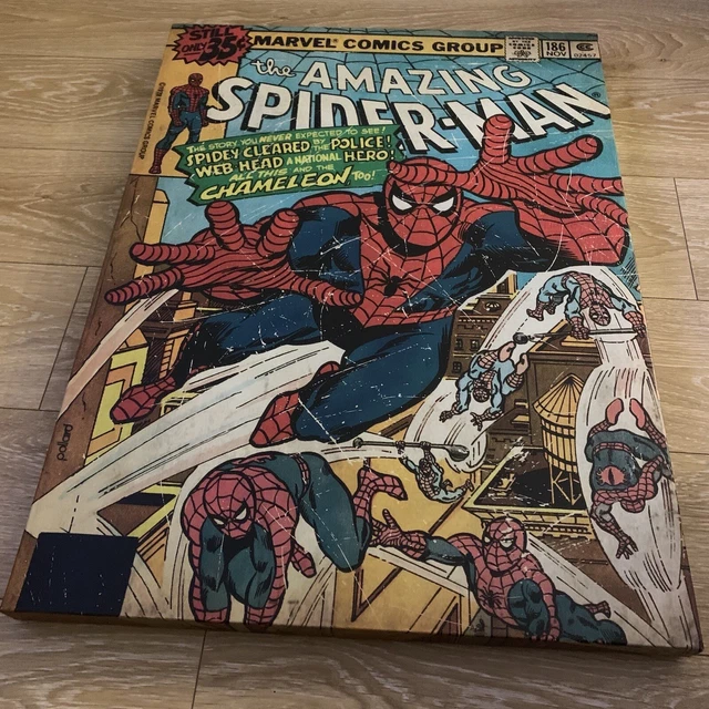 Official Marvel Super Heroes Spider-Man Canvas (Large)