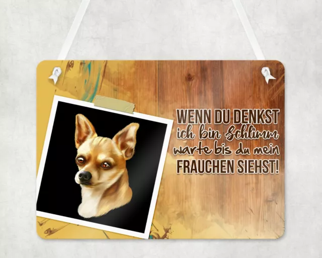 Warnschild Türschild Eingangsschild Wetterfest Chihuahua Hund Hundebesitzer