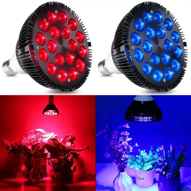 PAR38 18W 54W High Power Brightness Red Blue Light LED Grow Light Bulb Light