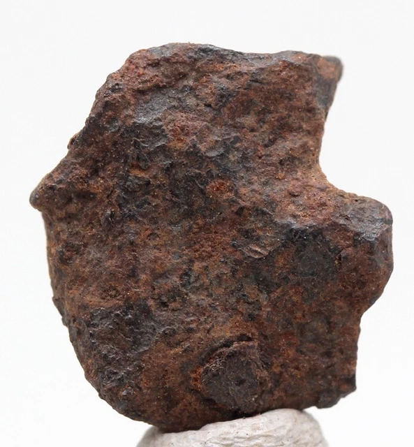 Raro Gibeon Ferro Meteorite Fragment Completo Singole Esemplare Namibia Africa