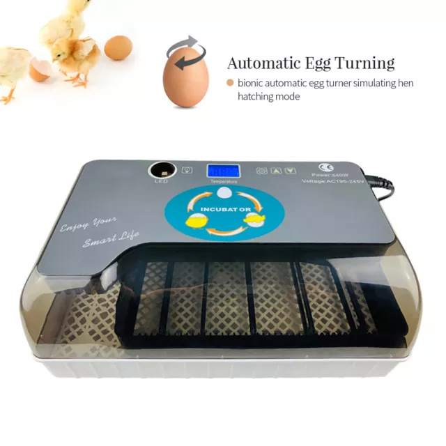 Fully Automatic 12 Egg Incubator Digital LED Turning Chicken Egg Poultry AU Plug 3