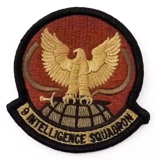 US Air Force 9th Intelligence Squadron Subdued Hook Back Patch