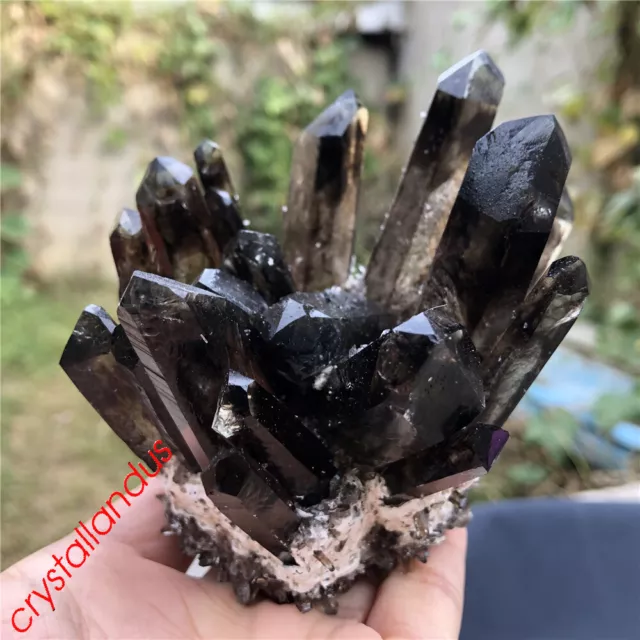 1pc Smokey Cluster Quartz Crystal Mineral Specimen Point Reiki Healing 500g+