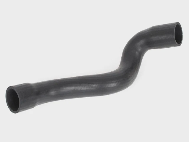 Bracelet/manchette en cuir de lézard argenté métallisé