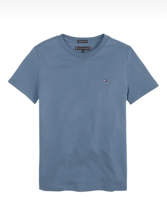 Bnwt Boys Tommy Hilfiger  Short Sleeve T-Shirt/Tee Size 12 Years