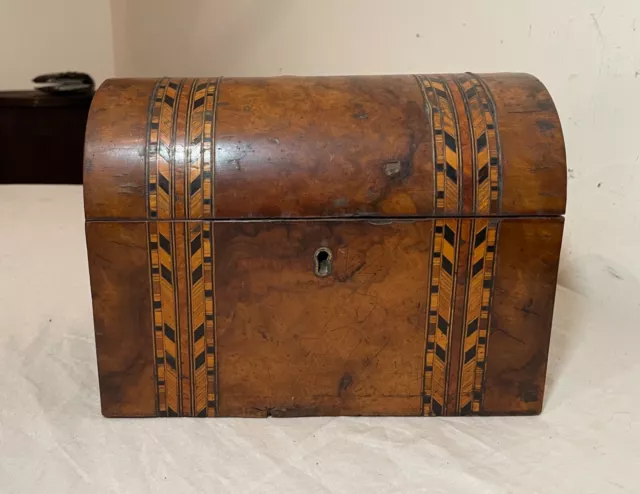 Antique 19th Century English Tunbridge Inlaid Marquetry Walnut Domed Tea Caddy 3