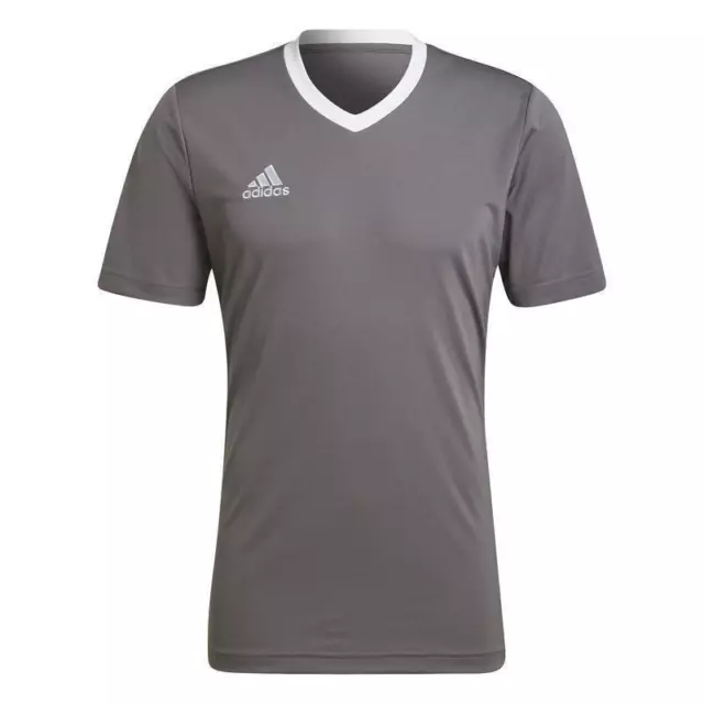 adidas Entrada 22 Trikot Herren - grau