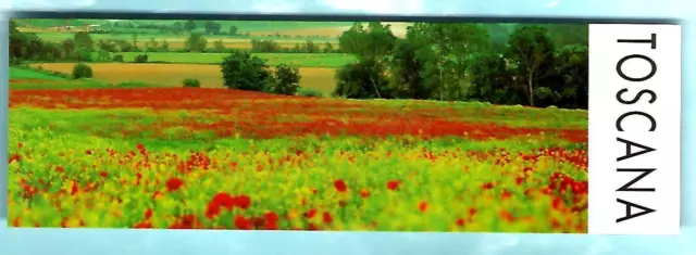 Siena Val d'Arbia LESEZEICHEN Toskana ländliche Ansicht italienische Weinregion toskanische Geschenke