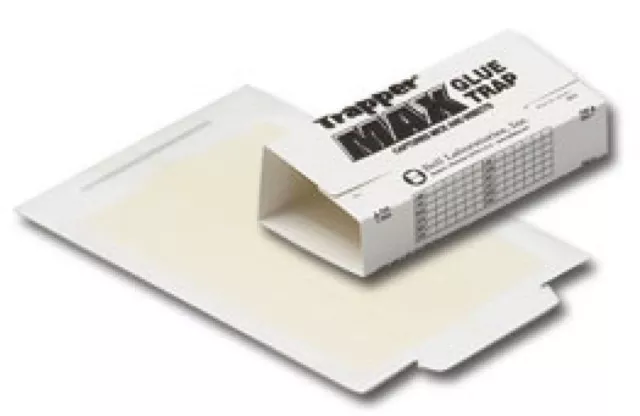 72 Trapper Max Glue Board Traps Control Mouse Mice Insect Spider Lizards etc