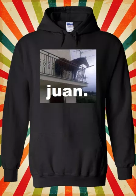 Juan Meme Horse On Balcony Meme Cool Men Women Unisex Top Hoodie Sweatshirt 3100
