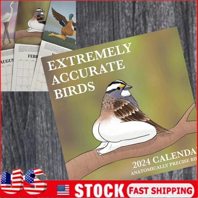 FUNNY 2024 CALENDAR OF EXTREMELY ACCURATE BIRDS Calendar Wall Calendar