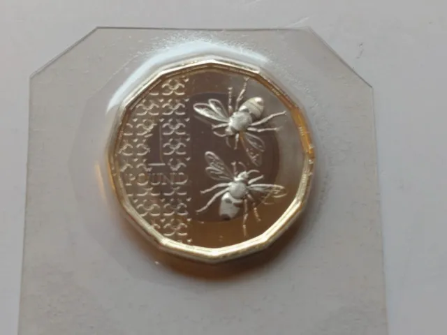 2023 Definitive UK £1 One Pound Brilliant Uncirculated Coin NEW BEES  WITH PRIVY