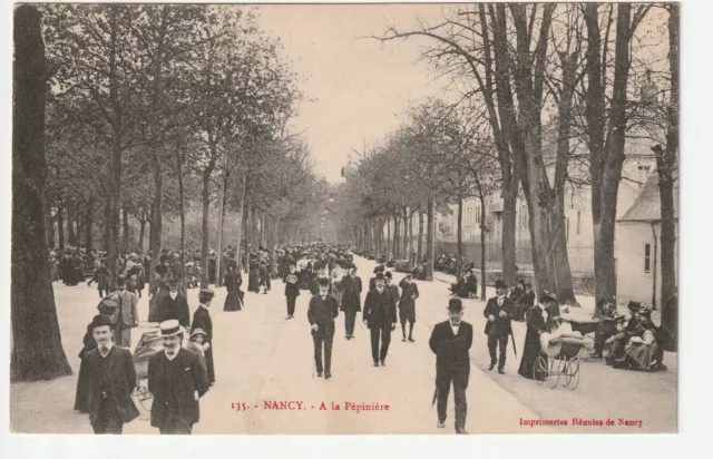 NANCY - CPA 54 - LA PEPINIERE - une grande allée