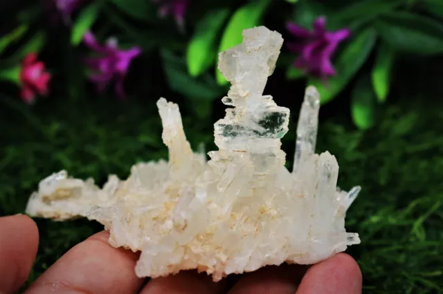 439 CT Natural Faden Quartz Terminated Crystals Cluster  Specimen Baluchistan