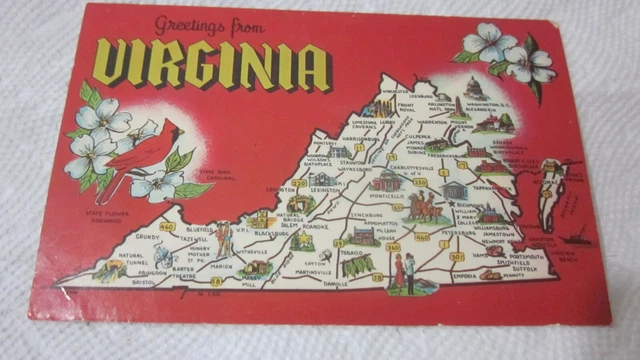 Postcard Greetings from Virginia State Map state bird postcard Unused