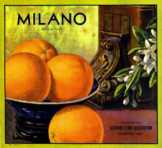 Arlington Riverside Milano Orange Citrus Fruit Crate Label Art Print