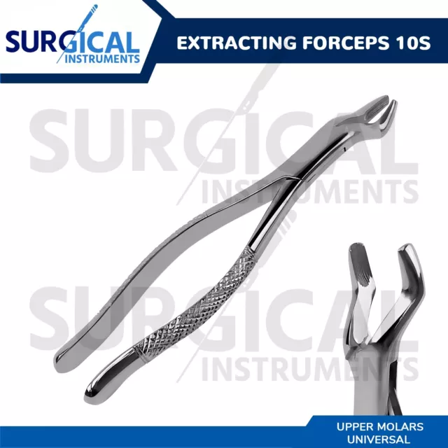 Extracting Forceps #10S Dental Surgical Instruments German Grade Stainless Steel