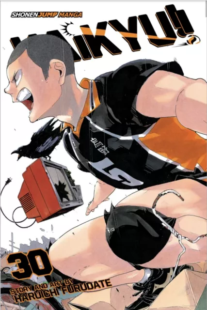 Haikyu!! Manga Volume 30 - English - Brand New