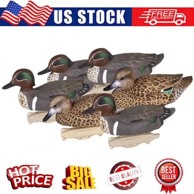 10.5'' 6 Pack Outdoor Hunting Front Green Winged Teal Decoys Waterfowl Floater