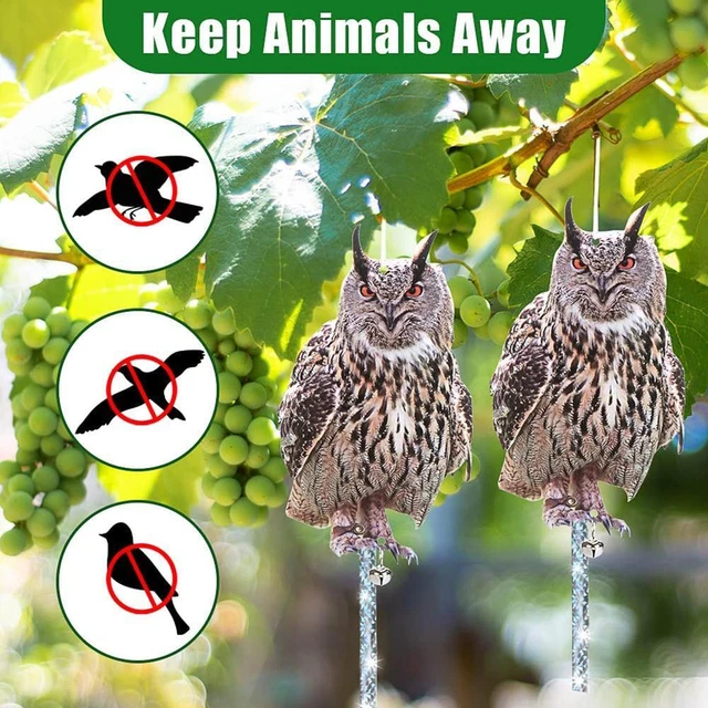 OWL TO KEEP Birds Away Dispelling Bird Owl Fake Owl Reflective Hanging