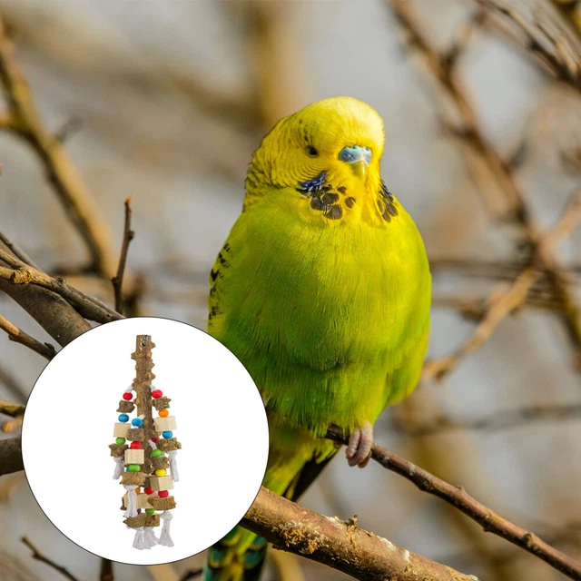 1Pc Sittich Hängen Behandelt Haustier Vogel Spielzeug Vogel Biss Spielzeug 8