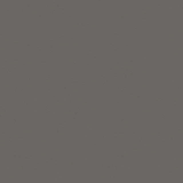 25er-Pack My Colors Classic 80 Pfund Abdeckung Gewicht Karton 12""x12""-Phantomgrau - T410