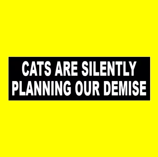 Funny "CATS ARE SILENTLY PLANNING OUR DEMISE" warning decal BUMPER STICKER humor