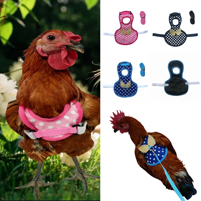 100pcs Anello Di Pollo Di Dimensioni Regolabili Gambe Di Pollame Numero Tag Fibbia Anatra Pollame Pollo Suppliesorange