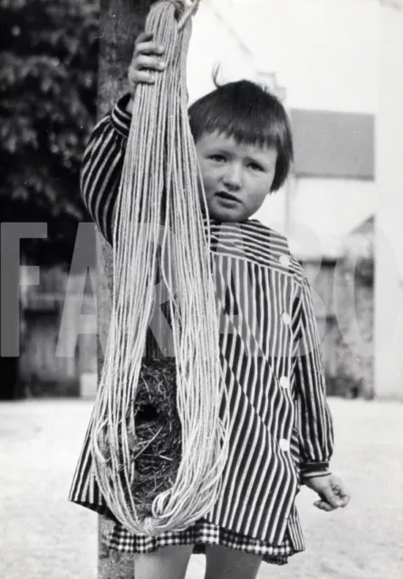 Foto vintage de archivio Aves, 1965 , Un Nido En Madeja, impresión 17 X 12CM