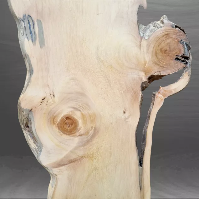 Tasmanian Huon Pine Board Craft Wood Woodworking Timber Slab Live Edge Blank