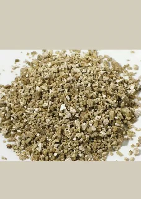 Vermiculite Grana Fine Incubazione Uova Rettili Tartaruga Serpente Pogona 5lt
