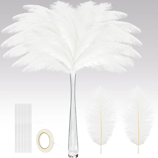 80 Pcs Natural Ostrich Feathers Bulk with 80 Pcs Iron Wire 10 to 12 Inch