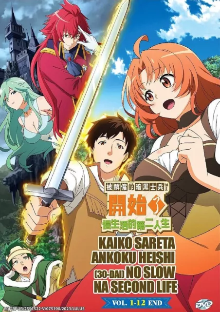 Anime Loving Yamada at Lv999 (Vol.1-13End) English Subtitle DVD
