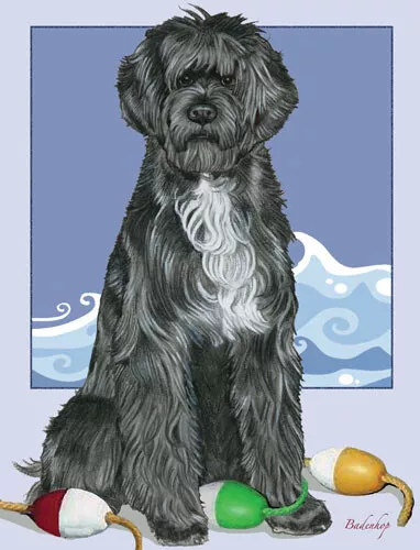 Portuguese Water Dog Blank Note Cards Boxed