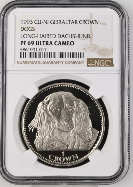 1993 CU-NI Gibraltar 1 Crown Dog Long Haired Dachshund - NGC PF69 ULTRA CAMEO