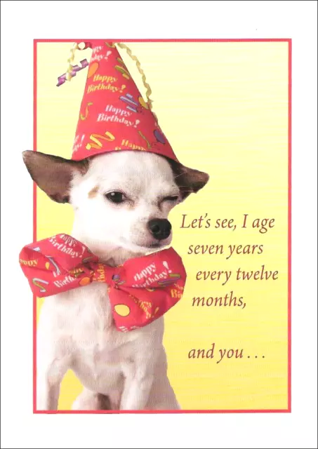 Chihuahua Birthday Card ~ I Age Seven Years Every Twelve Months, And You . . .