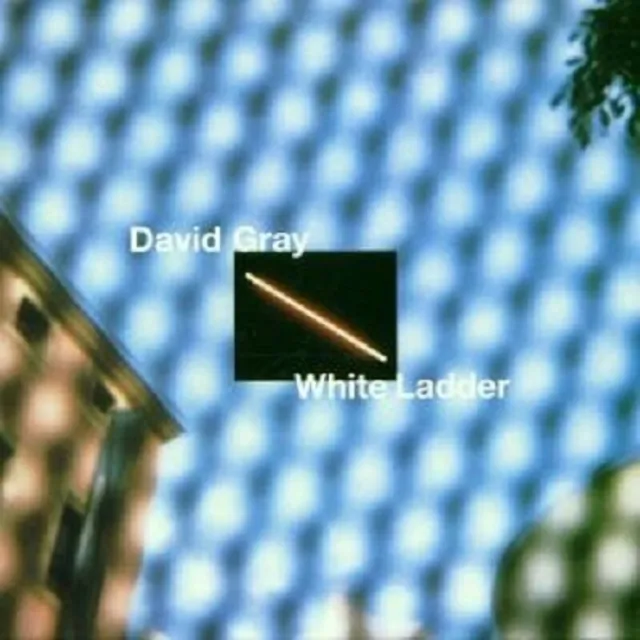 David Gray "White Ladder" Cd New!