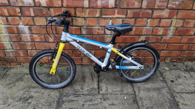 TEAM SKY FROG 48 Lightweight Kids Bike 75.00 PicClick UK