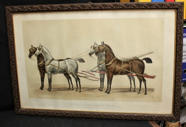 Litografía Francés '800 Pintado Por Paris - Brice Thomas Chevaux Caballos