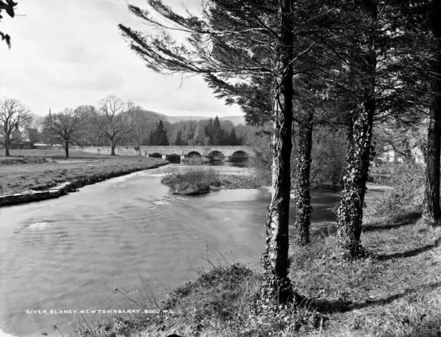 River Slaney, Newtownbarry, Co. Wexford Ireland c1900 OLD PHOTO