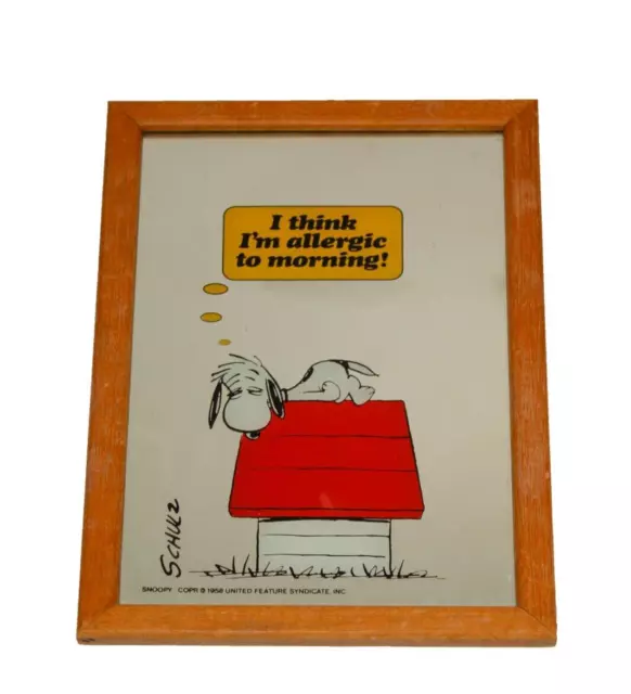 Vintage Peanuts Snoopy Mirror