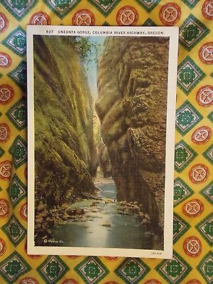 Vintage Postcard Oneonta Gorge, Columbia River Highway, Oregon