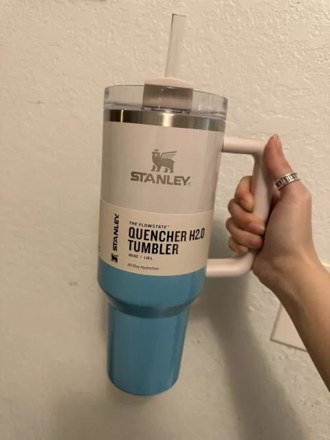 https://www.picclickimg.com/U80AAOSwmsFkggLh/Stanley-Quencher-H20-FlowState-Tumbler-Pool-Ombre.webp