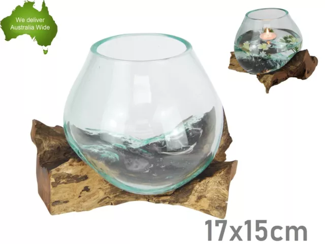 1pc 17cm Unique Hand Blown Glass Fish Jewellery Bowl Terrarium Natural Driftwood