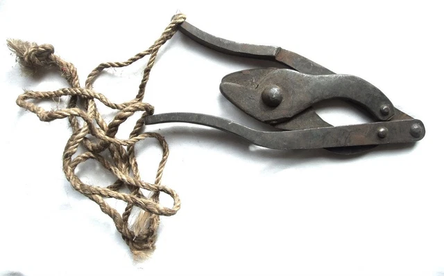 Identification pinces barbelés allemand WW1