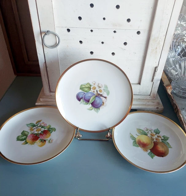VINTAGE HUTSCHENREUTHER FRUIT Plates Gold Trim Selb Bavaria Germany